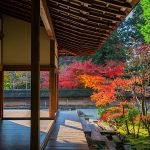 Ryoanji Temple Kyoto