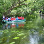 Water volume of spring water is 700,000 tons per day, and it does not exceed 15 degrees even in the summer. Pure and abundant water is used for wasabi cultivation and rainbow trout farming is carried out using wastewater from the wasabi.